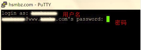 bluehost空间用ssh备份数据库