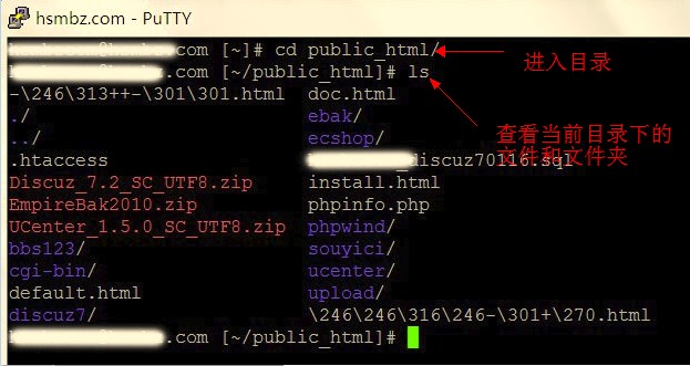 bluehost空间用ssh备份数据库