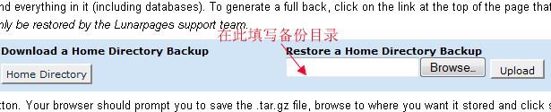 LunarPages国外空间cPanel面板如何备份数据